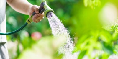 A man watering outdoor plants.