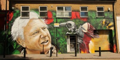 A mural of David Attenborough.