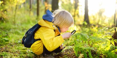 A boy using a magnifying glass in the woods.